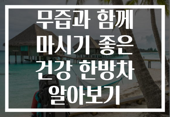 무즙과 함께 마시기 좋은 건강 한방차 알아보기