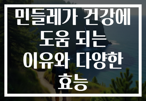 민들레가 건강에 도움 되는 이유와 다양한 효능