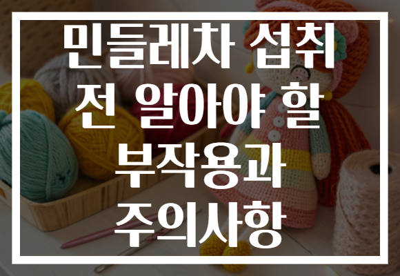 민들레차 섭취 전 알아야 할 부작용과 주의사항