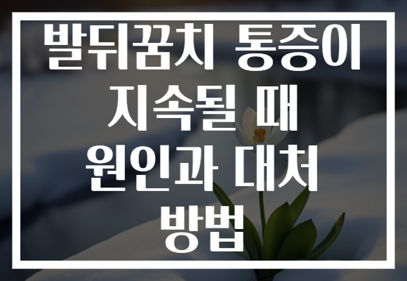 발뒤꿈치 통증이 지속될 때 원인과 대처 방법