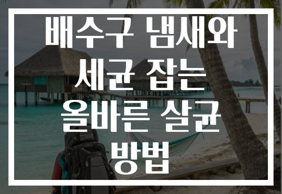 배수구 냄새와 세균 잡는 올바른 살균 방법