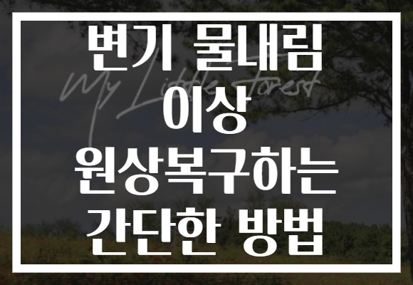 변기 물내림 이상 원상복구하는 간단한 방법