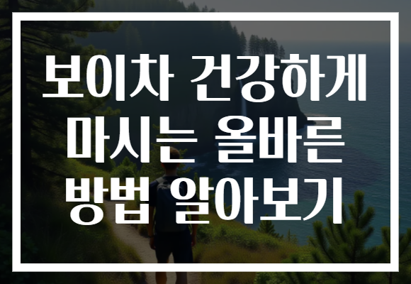 보이차 건강하게 마시는 올바른 방법 알아보기