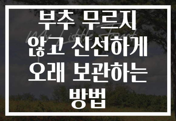 부추 무르지 않고 신선하게 오래 보관하는 방법