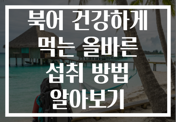 북어 건강하게 먹는 올바른 섭취 방법 알아보기