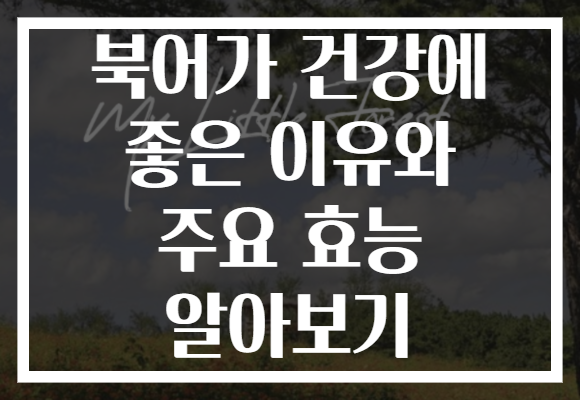 북어가 건강에 좋은 이유와 주요 효능 알아보기