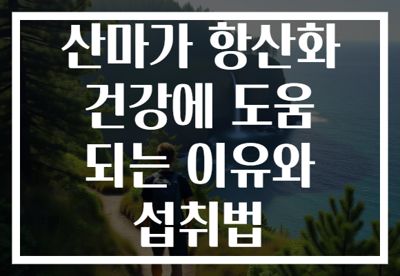 산마가 항산화 건강에 도움 되는 이유와 섭취법