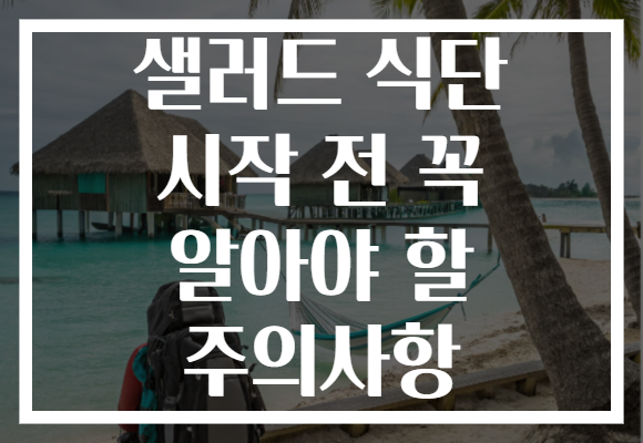 샐러드 식단 시작 전 꼭 알아야 할 주의사항