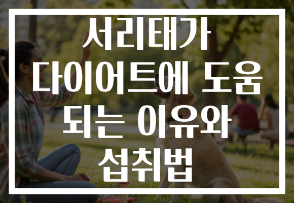 서리태가 다이어트에 도움 되는 이유와 섭취법