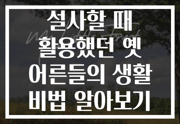 설사할 때 활용했던 옛 어른들의 생활 비법 알아보기