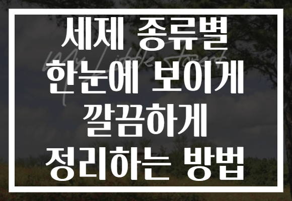 세제 종류별 한눈에 보이게 깔끔하게 정리하는 방법