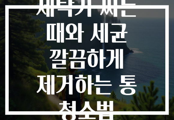 세탁기 찌든 때와 세균 깔끔하게 제거하는 통 청소법