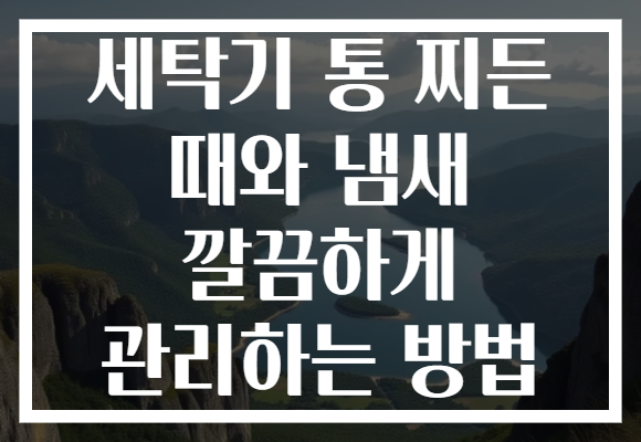 세탁기 통 찌든 때와 냄새 깔끔하게 관리하는 방법