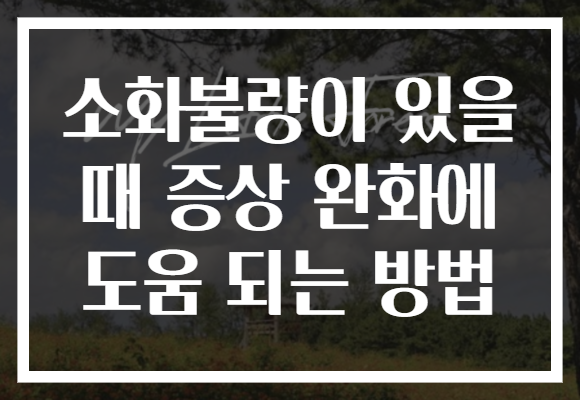 소화불량이 있을 때 증상 완화에 도움 되는 방법