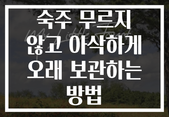 숙주 무르지 않고 아삭하게 오래 보관하는 방법