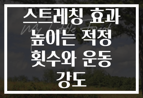 스트레칭 효과 높이는 적정 횟수와 운동 강도