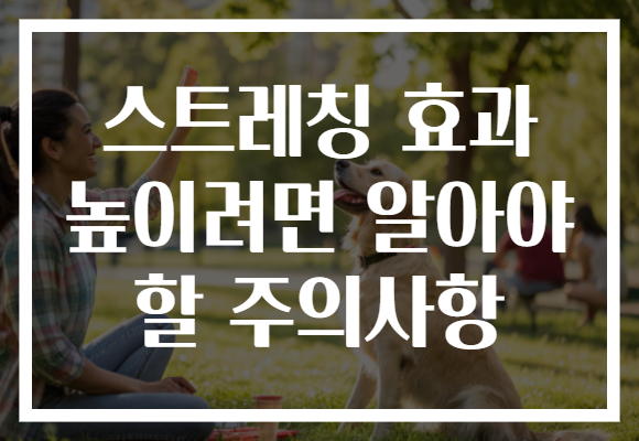 스트레칭 효과 높이려면 알아야 할 주의사항