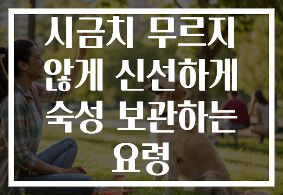 시금치 무르지 않게 신선하게 숙성 보관하는 요령