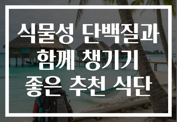 식물성 단백질과 함께 챙기기 좋은 추천 식단