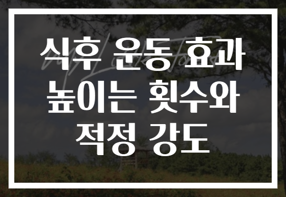 식후 운동 효과 높이는 횟수와 적정 강도