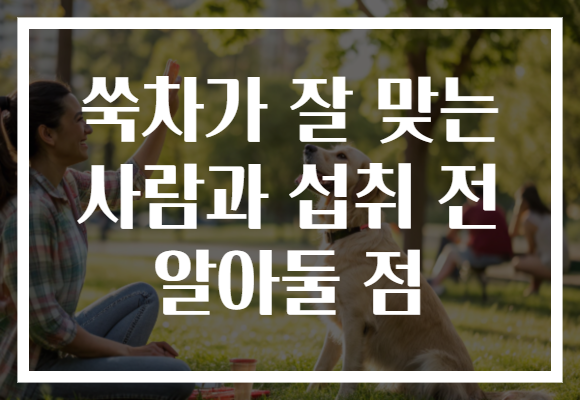 쑥차가 잘 맞는 사람과 섭취 전 알아둘 점