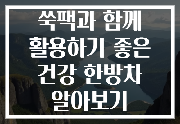 쑥팩과 함께 활용하기 좋은 건강 한방차 알아보기