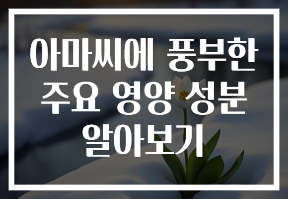 아마씨에 풍부한 주요 영양 성분 알아보기