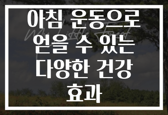 아침 운동으로 얻을 수 있는 다양한 건강 효과