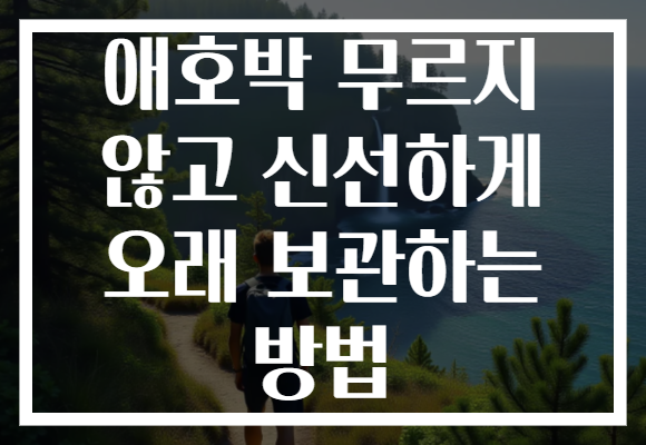 애호박 무르지 않고 신선하게 오래 보관하는 방법