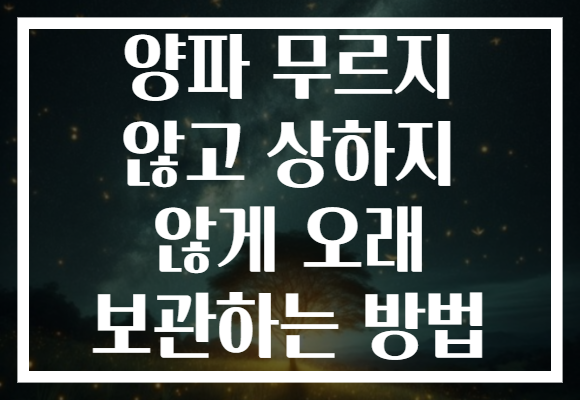 양파 무르지 않고 상하지 않게 오래 보관하는 방법