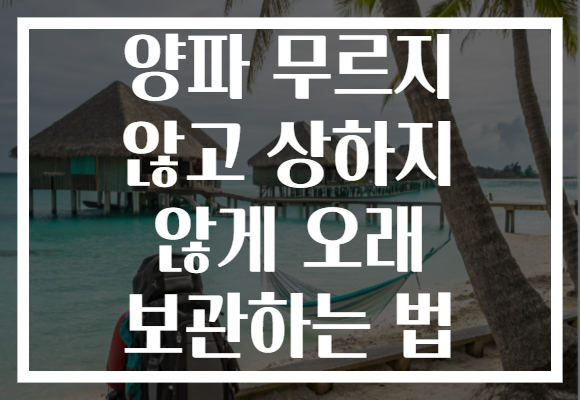 양파 무르지 않고 상하지 않게 오래 보관하는 법