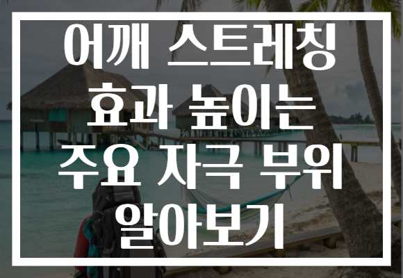 어깨 스트레칭 효과 높이는 주요 자극 부위 알아보기