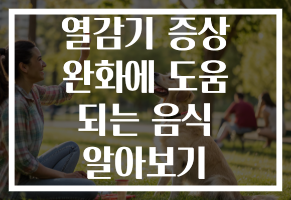 열감기 증상 완화에 도움 되는 음식 알아보기