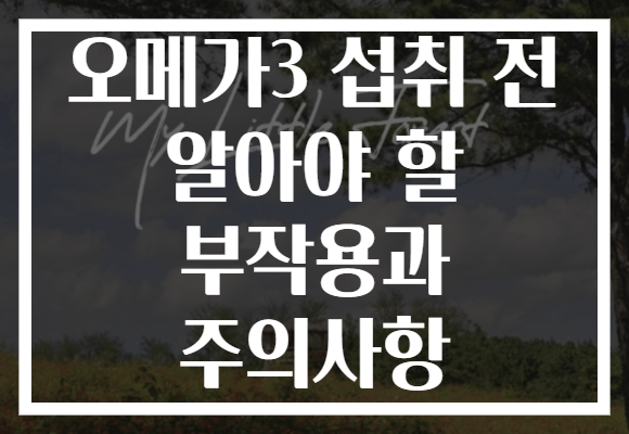오메가3 섭취 전 알아야 할 부작용과 주의사항
