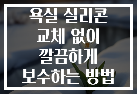 욕실 실리콘 교체 없이 깔끔하게 보수하는 방법