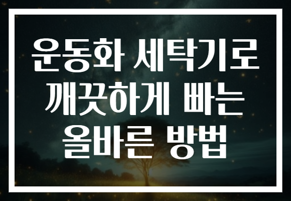 운동화 세탁기로 깨끗하게 빠는 올바른 방법