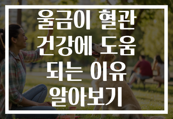 울금이 혈관 건강에 도움 되는 이유 알아보기