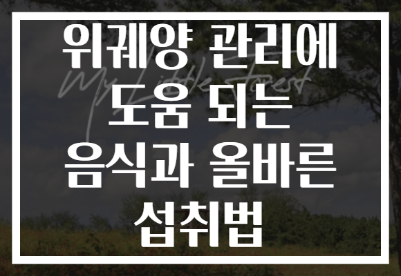 위궤양 관리에 도움 되는 음식과 올바른 섭취법