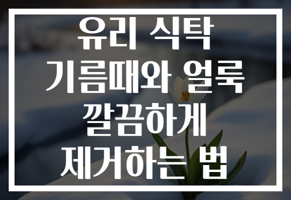 유리 식탁 기름때와 얼룩 깔끔하게 제거하는 법