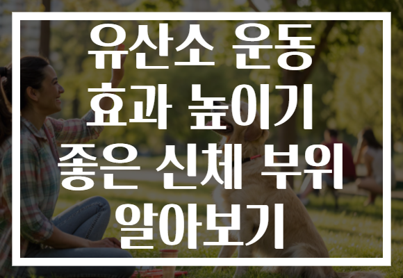 유산소 운동 효과 높이기 좋은 신체 부위 알아보기