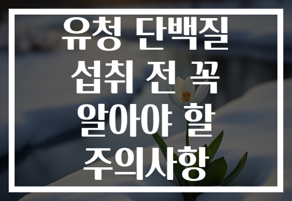 유청 단백질 섭취 전 꼭 알아야 할 주의사항