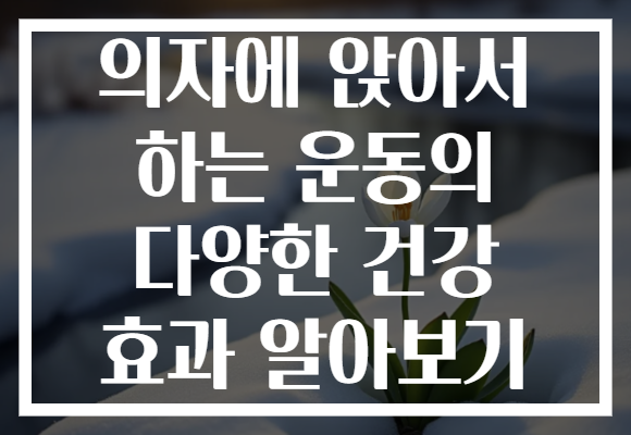 의자에 앉아서 하는 운동의 다양한 건강 효과 알아보기