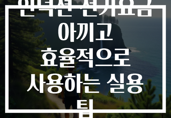 인덕션 전기요금 아끼고 효율적으로 사용하는 실용 팁