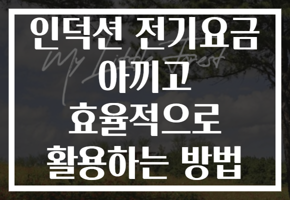 인덕션 전기요금 아끼고 효율적으로 활용하는 방법
