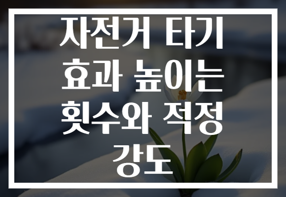 자전거 타기 효과 높이는 횟수와 적정 강도