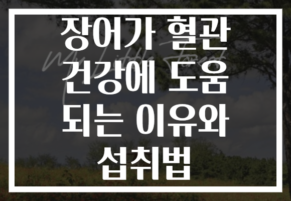 장어가 혈관 건강에 도움 되는 이유와 섭취법