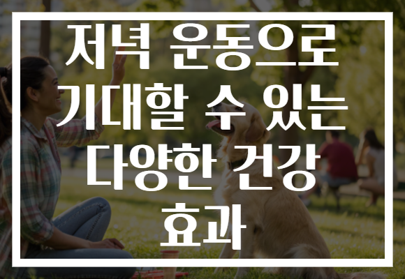 저녁 운동으로 기대할 수 있는 다양한 건강 효과