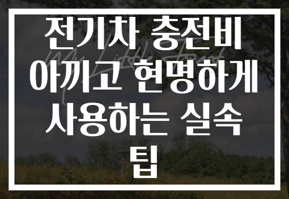 전기차 충전비 아끼고 현명하게 사용하는 실속 팁