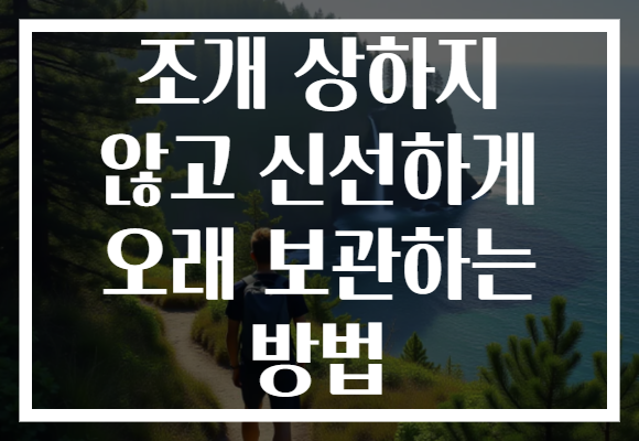 조개 상하지 않고 신선하게 오래 보관하는 방법