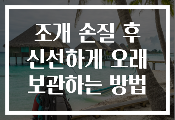 조개 손질 후 신선하게 오래 보관하는 방법